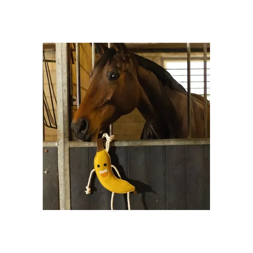 Foodie Friends Banana Toy for Horses &ndash; Stall Special