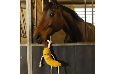 Paardenspeeltje Banaan &ndash; Natuurlijk Leren Speelgoed voor de Box | Merlin&Cie