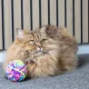 Spielzeug f&uuml;r Katzen &ndash; Ball 8,2 cm (versch. Farben) - Flamingo