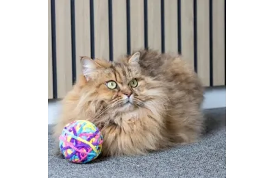 Kattenspeelbal &Oslash; 8,2 cm &ndash; Stoffen Bal met Rammelgeluid | Merlin&Cie