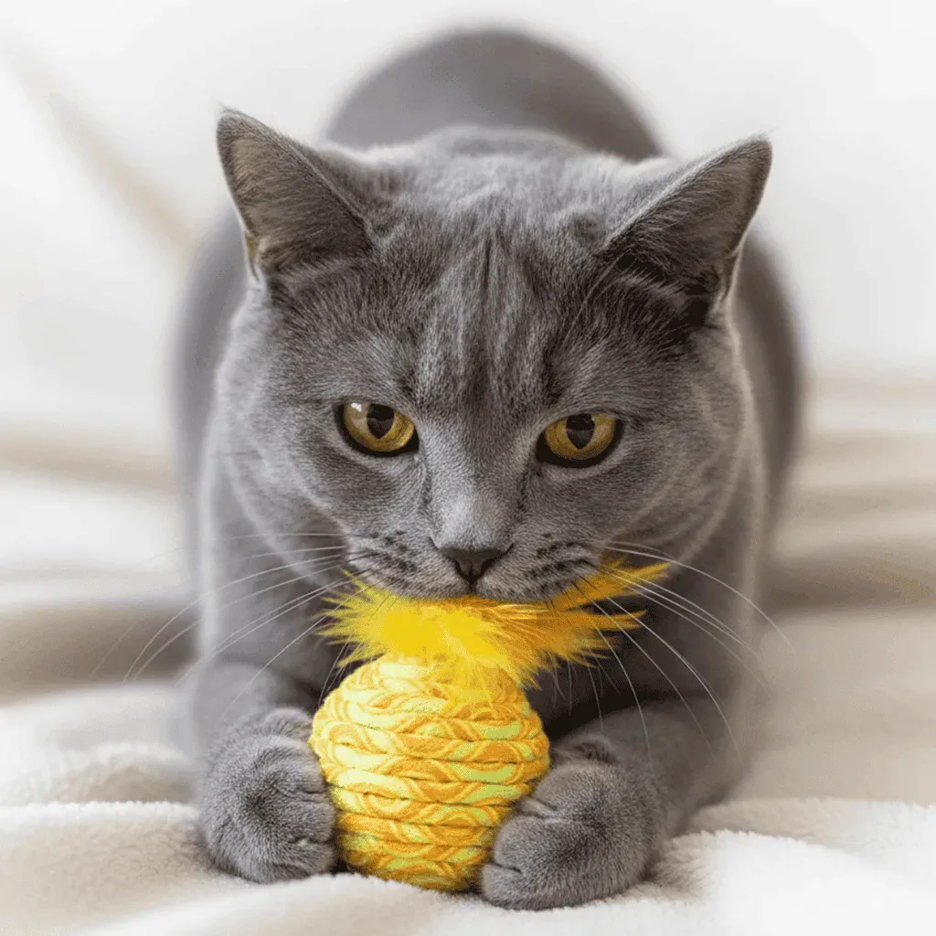 Jouet pour Chat &ndash; Balle Plumes (plusieurs couleurs)