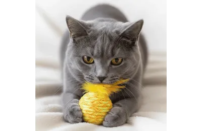 Spielzeug f&uuml;r Katzen &ndash; Federball (versch. Farben) - Flamingo