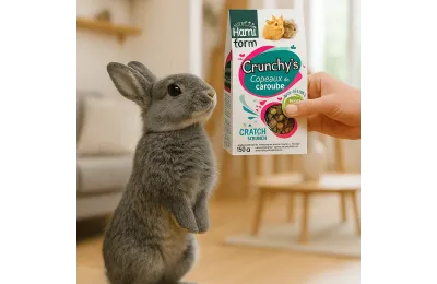 Konijnensnack &ndash; Crunchy&rsquo;s Johannesbrood | Natuurlijke Snack van Merlin&Cie