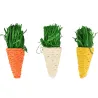 Mini Carrot Chew Toys (Pack of 3) | Paper & Corn Leaves | Rabbit Dental Enrichment