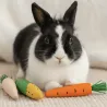 Jouet Festif &agrave; m&acirc;cher pour Lapins - Trois Carottes en bois et ma&iuml;s