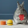 Jouet pour Lapin &agrave; Ronger &ndash; Bernie Mix Fraise, Hamburger & Pot (Lot de 3)