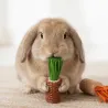 Jouet pour Lapins &agrave; Grignoter &ndash; M&eacute;lange Ma&iuml;s & Papier