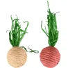 Rabbit Toys &ndash; Set of 2 Woven Radishes | Natural Chews by Flamingo