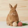 Lot 2 jouets pour Lapins &ndash; Radis tress&eacute;s