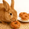 Pack 4 Donuts f&uuml;r Kaninchen &ndash; Geschmack Karotte - Bubimex