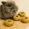 Pack 4 Donuts pour Lapins &ndash; Saveur Banane
