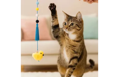 Spielangel f&uuml;r Katzen &ndash; Kleiner gelber Vogel - ZippyPaws