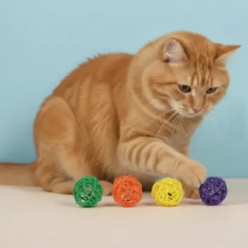 Lot 4 Jouets pour Chats &ndash; Balles en Rotin Naturel + Cataire, Assortiment de Couleurs