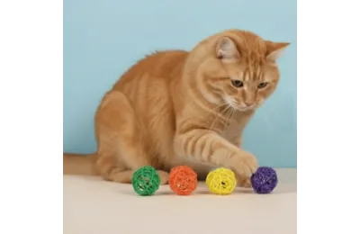 Lot 4 Jouets pour Chats &ndash; Balles en Rotin Naturel + Cataire, Assortiment de Couleurs