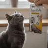 Pack 4 Friandises pour Chats - Creamy Sticks au Poulet