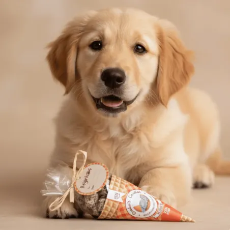 Feestsnacks voor Honden &ndash; Beijinhos Cornet van Cooka&rsquo;s Cookies | Merlin&Cie