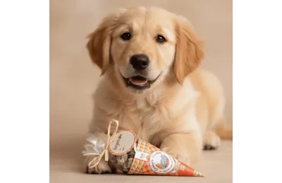 Friandises Festives pour Chiens - C&ocirc;ne de boulettes gourmandes Cooka&rsquo;s Cookies