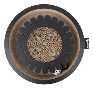 Flower Cat Scratcher & Ball Chase Toy – Black or White | District 70