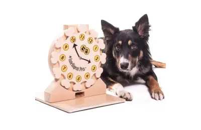 Uhr &ndash; Intelligenzspiel aus Holz f&uuml;r Hunde und Katzen - My Intelligent Dogs