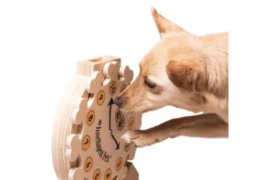 Orologio &ndash; Gioco d&rsquo;intelligenza in legno per cani e gatti - My Intelligent Dogs
