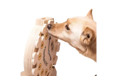 Reloj &ndash; Juguete de inteligencia de madera para perros y gatos - My Intelligent Pets