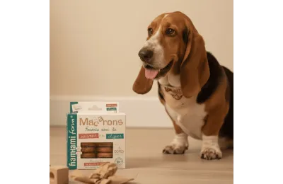 Friandises pour Chiens &ndash; Macarons Saumon & Algues (x6)