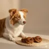 Pack 4 Donuts f&uuml;r Hunde &ndash; Huhn & Erdbeere - Bubimex