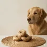Pack 4 Donuts pour Chiens &ndash; Poulet & Noix de Coco Gourmand
