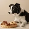 Ontdekkingspakket Donuts voor Honden &ndash; 3 Smaken | Merlin&Cie