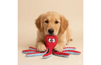 Spielzeug, Kuscheltier f&uuml;r Hunde &ndash; Oktopus 45 cm (3 Farben) - Bubimex