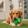 Jouet &agrave; m&acirc;cher pour Chiens - Le Canard vert