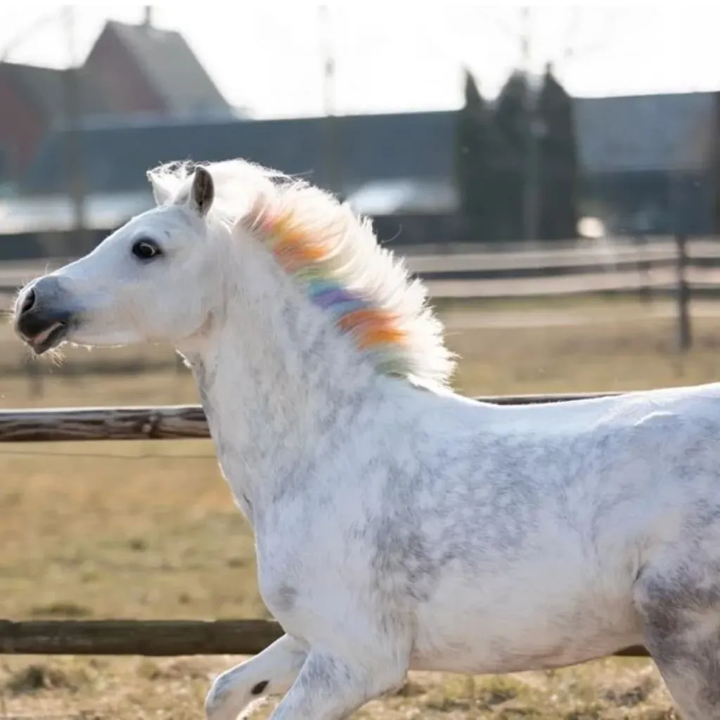 Lucky Horse Unicorn &ndash; Craies arc-en-ciel pour crini&egrave;re et queue de cheval