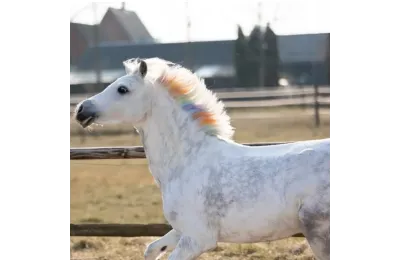 Lucky Horse Unicorn &ndash; Craies arc-en-ciel pour crini&egrave;re et queue de cheval