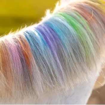 Lucky Horse Unicorn &ndash; Tizas de colores para crin y cola de caballo - Lucky Horse