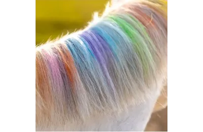 Lucky Horse Unicorn &ndash; Tizas de colores para crin y cola de caballo - Lucky Horse