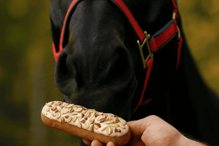 Een paard eet een snoepje.