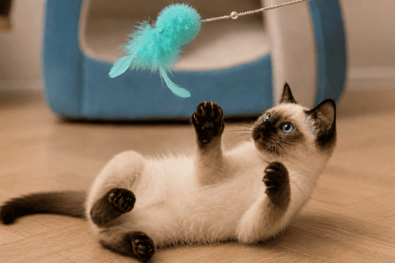 Quels jouets choisir pour son chat ? Comprendre ses envies pour mieux le faire jouer