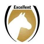 Excellent Horse